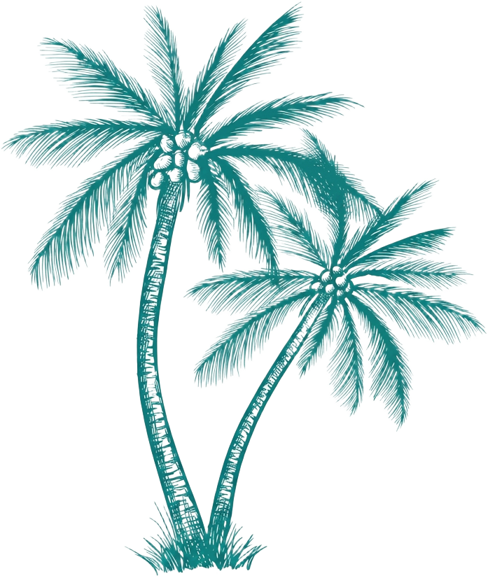 Noda Vale coconut palm symbol